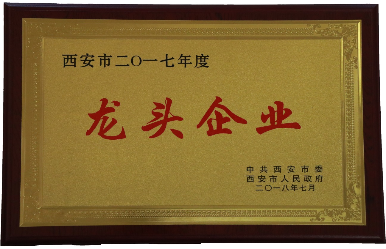 陜西西瑞集團榮獲西安市2017年度“龍頭企業(yè)”稱號