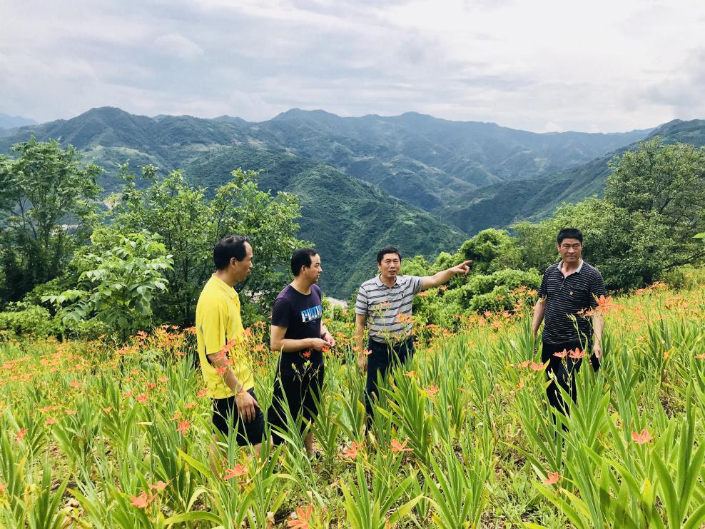 油脂集團領導到幫扶村調研